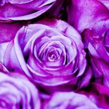 在线DDOS攻击平台